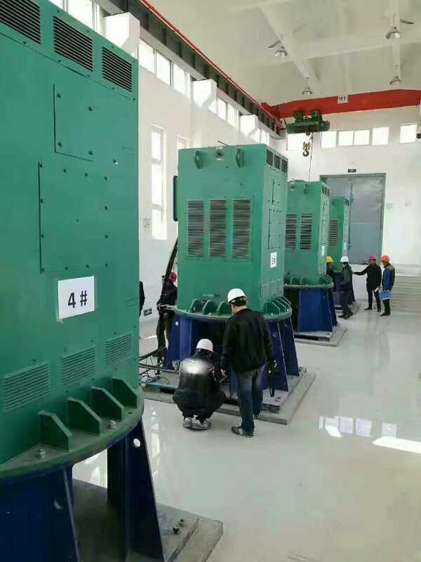 翁田镇某污水处理厂使用我厂的立式高压电机安装现场