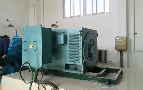 翁田镇某水电站工程主水泵使用我公司高压电机